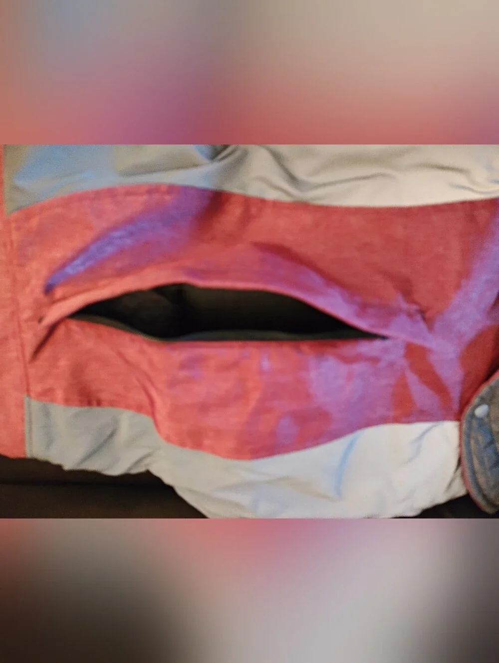 Glacier Bay Dog Coat